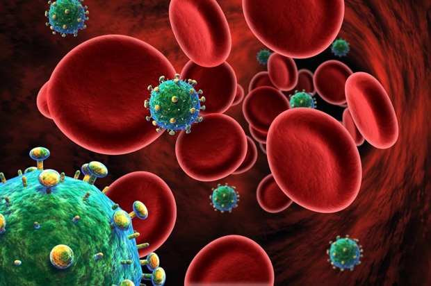 Picture of the HIV virus in blood cells