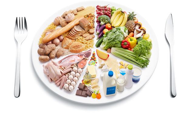 Picture of a plate showing a balanced diet; with vegetables, fruit, meat, dairy and some sweets.