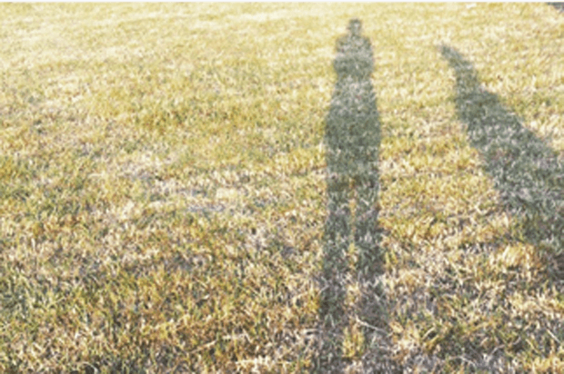 two shadows