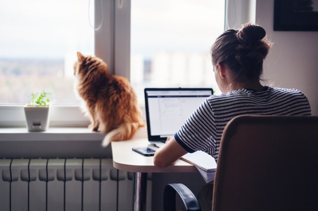 A young person works at their desk while a cat sits and looks out of the window